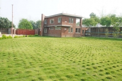Factory-premises-2